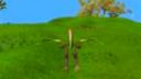 Spore