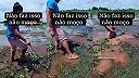 Aký blbý musí byť človek, keď zámerne stúpi na raju ostnatú? (BRAZÍLIA)