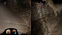 Zachovaj pokoj, veď levy sa motoriek boja, alebo nie?