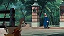 Lady a Tramp 1955
