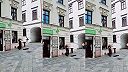 huslista v bratislavskom Starom meste.