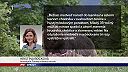 Po strete s medveďom na Liptove utrpel muž (35) viaceré zranenia