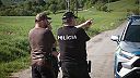 Vybral sa na huby, no natrafil na medvedicu s mláďatami, muža ošetrili