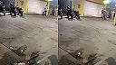 NESER garážovú bránu, ktorú nepoznáš! (Brazília)
