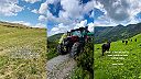 Farma Vrátna: prvý krát po 50 rokoch pasú dobytok v národnom parku vo výške 1500