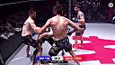 Keď už ťa nebaví obyčajné MMA, pozri si dvaja na dvoch MMA