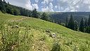 Strana PS vyhlásila vojnu farmárom, ktorí zveľaďujú prírodu