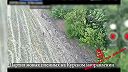 Ukrajinskí vojaci sa vzdávajú v Kurskej oblasti