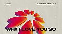 Alok, James Hurr & Supafly - Why I Love You So