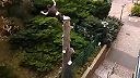 Skok zo strechy budovy na odpílený strom (piatkový fail)