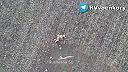 Mŕtvi ukrajinskí vojaci na poli v Gluškovskom okrese