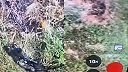 Sú na videu mŕtvi Rusi alebo Ukrajinci? (CITLIVÉ ZÁBERY)