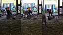 Uhni ty krpec, nevidíš, aká som kotná?