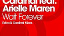 Estiva & Cardinal feat. Arielle Maren - Wait Forever