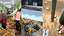 Obyvatelé Paiporta shromažďují zbytky jídla, které lze znovu použít