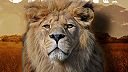 Safari (Extended Edit)