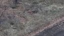 FPV-čko vs FPV-čko