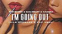 I'm Going Out (Extended Mix)