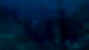 Tomb Raider Underworld diving trailer