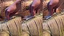 Starostlivosť o malého dinosaura. Pomoc pri zvliekaní kože
