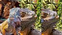 Starostlivosť o malého dinosaura. Pomoc pri zvliekaní kože 2