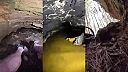Krátke zrýchlené video zo života SPELEOLÓGA