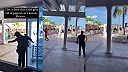 Hotel v mexickom Cancúne nasadil na holuby muža s jastrabom