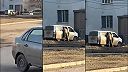 Nábor na pozíciu: potrava pre ruské kanóny