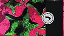 Rdy Steady (Radio Edit)