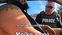 Mačka šoférovala auto