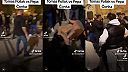 Poslednej dobe Rómovia dokazujú nemá v našej histórii obdobia.