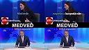 Odborníci z PS: Medvede nenapádajú ovce!