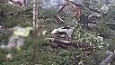 Pád Ruského lietadla An-24 nik neprežil
