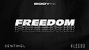 Sentinel, Alesso - Freedom