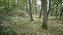 Archeologický unikát Val Obrov