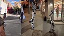 Šokujúce! robot sa pohyboval sám ulicami