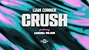 Liam Conner - Crush (feat. Amanda Wilson)