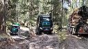Najlepší náklaďák na svete - TATRA 6x6 Timber