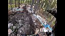 Malino Brdo bikepark