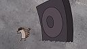 Normálka S02 E13 CZ
