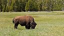 Jeden deň v prekrásnom Yellowstone