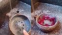 Ovocie by sa malo pred konzumáciou poumývať, táto nádoba sa o to postará sama