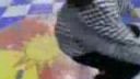 NEW JACKSWING!L.L BROTHERS APPEARS FOR TV PROGRAM@1992 PT.2