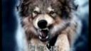 Sonata Artica - Wolf& Raven