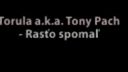 Torula rasto spomal