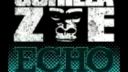 Gorilla Zoe - Echo