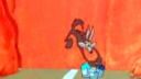 Road runner
