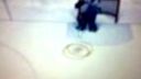 NHL 09 Strela