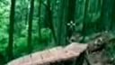 Extreme Freeride