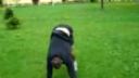 Mercak continues - freerun - spring 2010
